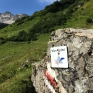 Ein Stück lang sind wir auf der Via Alpina unterwegs.